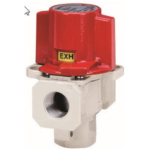 VHS20-40, Residual Pressure Relief Valve, Modular, Epoxy Coated