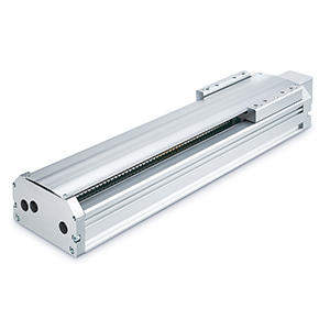 Standarta tips, 750W - LEJS