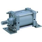 CS2 Large Bore Cylinder